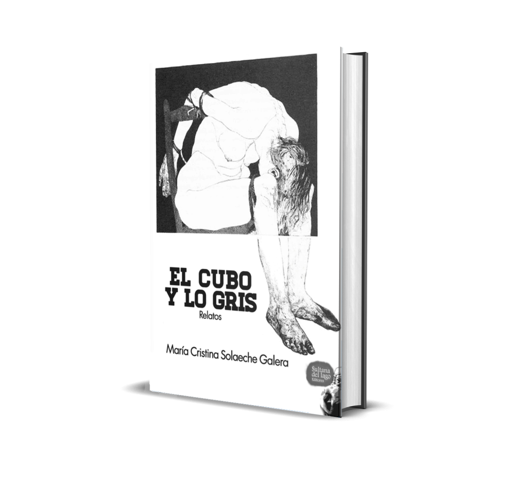 Portada de El cubo y lo gris - María Cristina Solaeche Galera