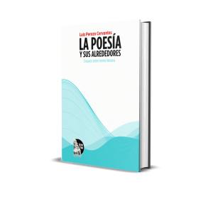 La poesía y sus alrededores: Ensayos sobre teoría literaria